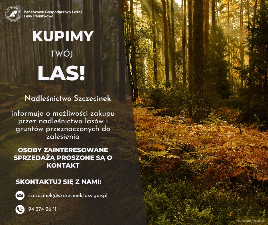 Ogłoszenie_zakup_str-_1