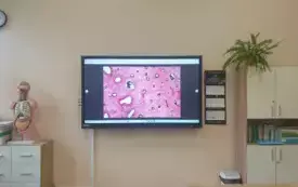 &bdquo;Stawiamy na cyfryzację&rdquo; czyli edukacyjny krok naprz&oacute;d!