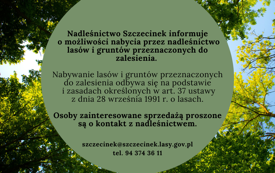 Zdjęcie do Możliwość nabycia las&oacute;w i grunt&oacute;w do zalesienia 