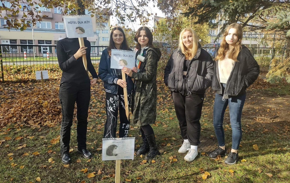 Zdjęcie do Hotele dla jeży &ndash; pomysł uczni&oacute;w z ZST