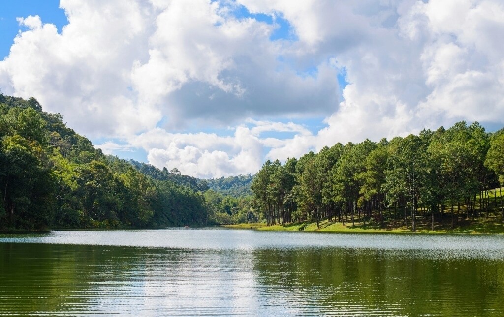 Zdjęcie do Dotacja dla sp&oacute;łek wodnych