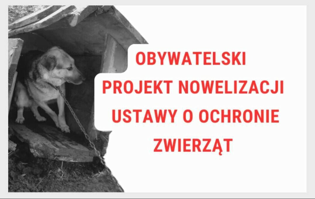 Zdjęcie do Nowelizacja ustawy o ochronie zwierząt &ndash; wesprzyj inicjatywę! 