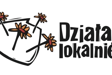 Zdjęcie do Działaj Lokalnie 2020