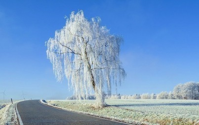 Zdjęcie do Zamiecie śnieżne - stan dr&oacute;g powiatowych na 20 stycznia 2022 roku