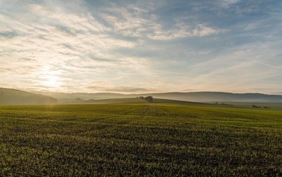 Zdjęcie do Przeznaczone do użyczenia