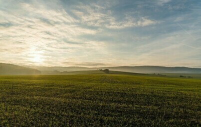 Zdjęcie do Przeznaczone do sprzedaży