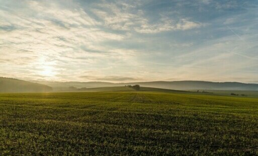 Zdjęcie do Nieruchomość na sprzedaż