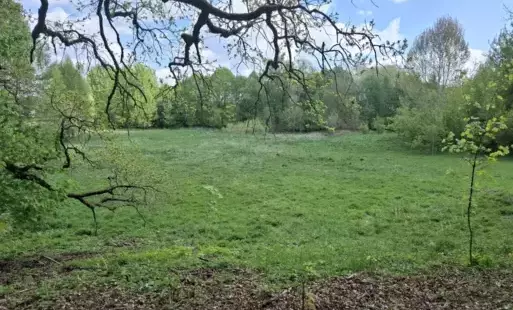 Zdjęcie artykułu z dnia 27-05-2025