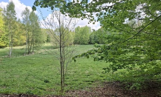 Zdjęcie do Przeznaczone do sprzedaży