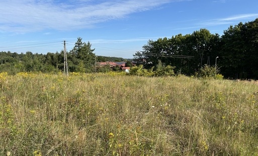 Zdjęcie do Przeznaczone do sprzedaży
