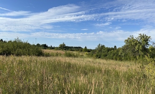 Zdjęcie do Przeznaczone do sprzedaży