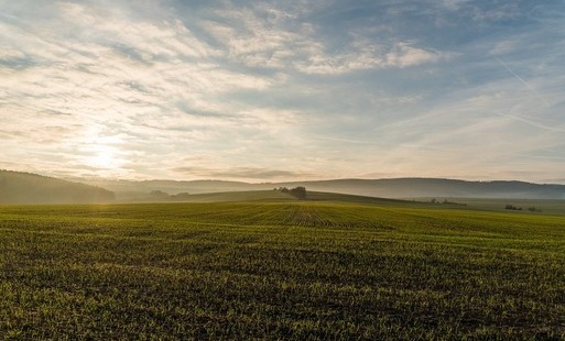 Przeznaczone do dzierżawy