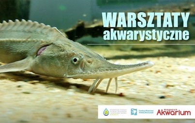 Zdjęcie do Warsztaty akwarystyczne w CEEiRJ