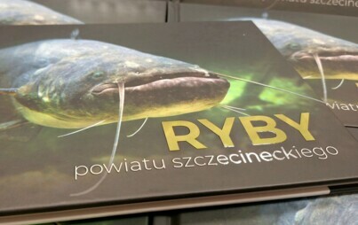 Zdjęcie do Szczecineckie ryby - album