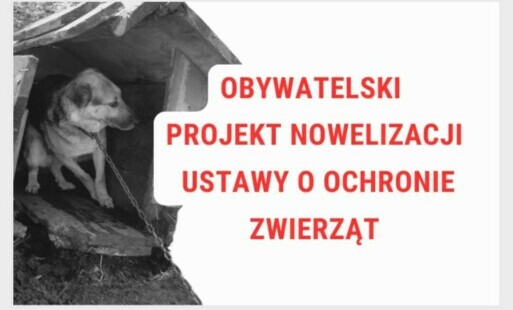 Zdjęcie do Nowelizacja ustawy o ochronie zwierząt &ndash; wesprzyj inicjatywę! 