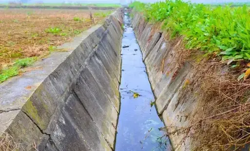 Zdjęcie artykułu z dnia 30-03-2026